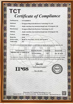 Certificato di certificazione